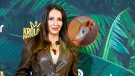 Partnerka Hakiela w ciąży Ciężarna Dominika Serowska z kroplówką w dłoni. Co się stało ukochanej Hakiela?