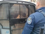 CO ON ZROBIŁ?! Furia na dworcu kolejowym. Konduktor podjął decyzję, a on wpadł w szał
