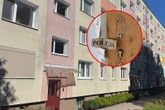 zostały larwy, muchy i odór! Koszmar w poznańskim bloku. Sąsiad zmarł, a nikt nie zauważył tego przez wiele miesięcy