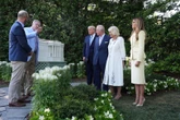 CO?! Król Karol i Kamila u Trumpów. Melania dała im herbatę, potem pokazała pszczoły w Białym Domu
