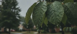 To może pokrzyżować weekendowe plany w Olsztynie. Prognoza nie zostawia złudzeń