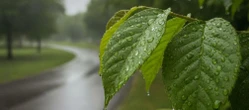 To może pokrzyżować weekendowe plany w Gorzowie Wielkopolskim. Prognoza pokazuje ważną zmianę