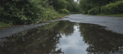 Deszczowa aura nie opuści Lublina. Weekendowa prognoza pogody ma jednak ważny szczegół