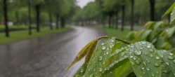 Weekend w Toruniu z rosnącą temperaturą. Niedziela przyniesie opady deszczu
