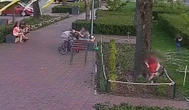 burza w sieci! Dzieci zniszczyły kwiaty, rodzice rozmawiali obok. Straż miejska zapowiada konsekwencje!