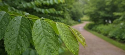 Pogoda w Warszawie zmieni się w niedzielę. Weekend zakończy się deszczem i wyższą temperaturą