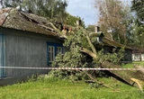Drzewo spadło na dom Silny wiatr na warszawskim Bemowie. Ogromna topola uszkodziła dach na Osiedlu Przyjaźń