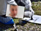 HORROR Tomek zabił żonę i uciekł. Jego ciało znaleziono 300 km dalej