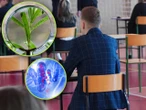 Sprawdź się! Quiz. Czy zdasz maturę 2026 z biologii? Wynik 5/10 to absolutne minimum!