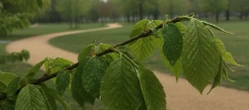 Weekend w Szczecinie przyniesie dużą zmianę pogody. Sobota będzie najcieplejsza