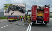 wszyscy opłakują Jakuba Jechał oddać krew dla chorej Hani. Tragiczna śmierć motocyklisty pod Kaliszem