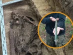 Niezwykłe odkrycie Znalazł w lesie prawie stuletnie szczątki i miecz sprzed 3000 lat! Poszukiwacz dokonał niezwykłego odkrycia