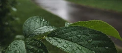 Jeden dzień popsuje gorący weekend w Poznaniu. Warto sprawdzić, kiedy przyjdzie deszcz