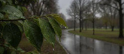 Weekend w Poznaniu zacznie się przyjemnie. Prognoza pogody pokazuje wyraźną zmianę