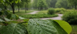 Weekend we Wrocławiu przyniesie ocieplenie. Termometry pokażą nawet 25 stopni