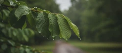 Weekend w Katowicach pokaże dwa oblicza. Ten szczegół w prognozie warto znać