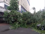 Prognoza IMGW Pogodowy armagedon nie ma końca. Burze i deszcz nie odpuszczają. Alerty dla połowy Polski! Radar pogodowy online [IMGW na 12.06.2026]