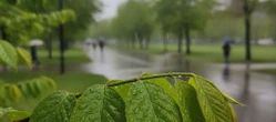 Początek weekendu w Białymstoku może być mylący. Później pogoda wyraźnie się zmieni