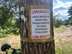 Alarm w Piasecznie Setki martwych ryb w Jeziorce. Pilny komunikat dla mieszkańców