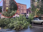 Groźna pogoda w NYC Najpierw upał, potem wichury! Na Greenpoincie drzewo runęło przy kościele św. Kostki
