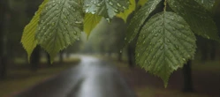 Weekend w Rzeszowie z nagłym zwrotem akcji. Po ciepłym piątku pogoda mocno się zmieni