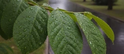 Pogoda na weekend w Gorzowie Wielkopolskim ma jeden haczyk. Końcówka może pokrzyżować plany