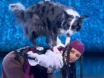 show Kim są zwyciężczynie „Mam Talent”? Studentka z Gdańska i jej suczka Dina podbiły serca widzów