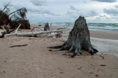 Turystyka nad morzem Mniej znane plaże nad Bałtykiem. Tu odpoczniesz z dala od tłumów