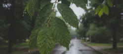 Weekend w Białymstoku ma jeden słabszy moment. Ta zmiana może pokrzyżować plany