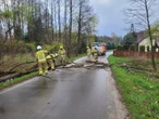 Skutki wichur Setki interwencji strażaków w świąteczny poniedziałek. Pogoda nie odpuszcza
