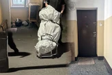 KOSZMARNY FINAŁ INTERWENCJI Roman mieszkał z rozkładającym się ciałem brata. Kiedy pojawiły się służby, skoczył z okna