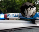 Kryminalne Znaleźli 30-latka na strychu. Nie do wiary, jak próbował zmylić policjantów
