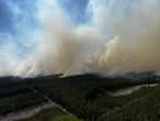 Heroiczna walka z żywiołem Gigantyczny pożar w Puszczy Solskiej. Strażacy walczą trzecią dobę. „Front ognia przesuwał się o pół kilometra w 15 minut”