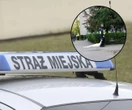 Nietypowa interwencja Zobaczyli, kto uciekł z Łazienek Królewskich. Skończyło się zatrzymaniem ruchu