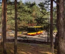 Z regionu Te autobusy pojadą tylko w weekendy i święta. Zabiorą pasażerów do Palmir