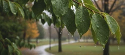 pogoda Pogoda na weekend w Toruniu 24-26 kwietnia. Czas pożegnać ciepło, idzie radykalna zmiana!