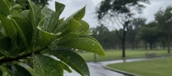 POGODA Pogoda na weekend w Gdańsku 1-3 maja. Temperatura wzrośnie, ale w niedzielę pojawi się deszcz