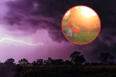 Nowa prognoza dla Polski Pogodowy armagedon potrwa dłużej. Zapowiadają ekstremalne warunki. Nie ma odwrotu