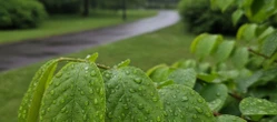 Weekend w Lublinie przyniesie zmianę pogody. Niedziela będzie ciepła, ale deszczowa
