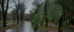 Pogoda w Opolu pokaże dwa oblicza. Prognoza na weekend ma ważny szczegół