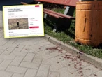 Tragedia w Bystrzycy Kłodzkiej Borys zastrzelił 26-latka, jego znajomi uruchomili zbiórkę. Zebrali astronomiczną kwotę!