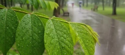 Weekendowa pogoda w Poznaniu ma jeden słabszy moment. Ten dzień warto zapamiętać