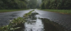 To może pokrzyżować plany w Białymstoku. Pogoda na weekend ma jeden słabszy moment