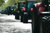 Duże utrudnienia Rolnicy zablokują S3. Kierowcy utkną w korkach