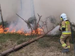 Pożary na Lubelszczyźnie Fatalna sytuacja w lasach na wschodzie Polski