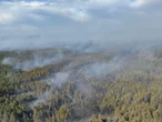 Pożar na Lubelszczyźnie Dogaszanie gigantycznego pogorzeliska. Strażacy walczą w Puszczy Solskiej już piąty dzień