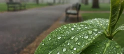 Weekend w Bydgoszczy z wielką zmianą pogody. Jeden dzień wyraźnie się wyróżni