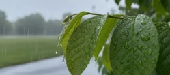 Weekend w Lublinie zacznie się chłodno. Zrobi się cieplej, ale niedziela będzie deszczowa