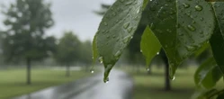 Pogoda na weekend w Warszawie ma jeden haczyk. Szykuje się wyraźna zmiana aury
