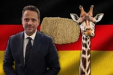 Siano z RFN w roli głównej Spór o siano od Niemca. Trzaskowski reaguje na oskarżenia ws. warszawskiego ZOO
